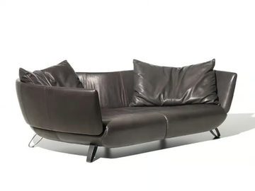 DS-102 SHELL - 2 seater curved leather sofa by de Sede - view 2